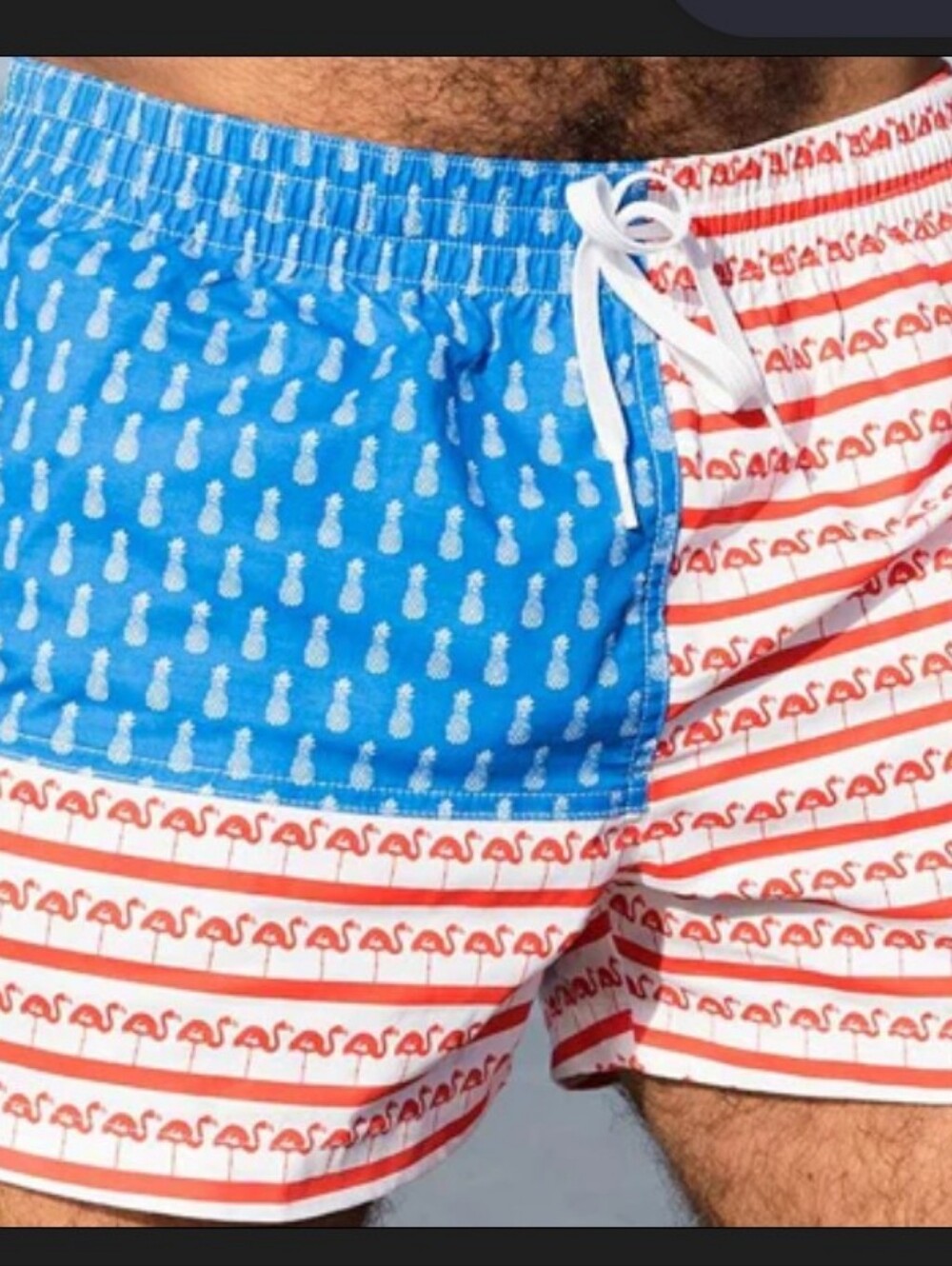 Chubbies Swim Trunks 5” Mens Size Medium The Fruited Plains USA All Over Print